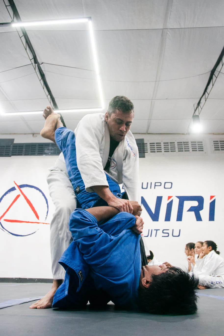 DNR2 – Intermedios